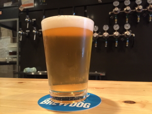 Craft Beer Spot Hathor�i�n�g�z���j�̃J�E���^�[�ƃN���t�g�r�[���P