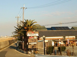 �]�䓇���� ���΃u�������[ �i�G�C�K�V�}�V���J�� �A�J�V�u�������[�j