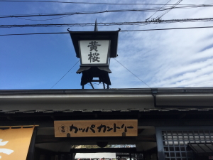 �L�U�N���J�b�p�J���g���[ ��������i�������炳���΁j�̖ڈ�