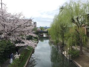 �L�U�N���J�b�p�J���g���[ ��������i�������炳���΁j�̋߂��̌i�F