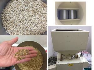 �C�R����̔����فi�������񂳂�̂΂����ォ��j�̃r�[������H��