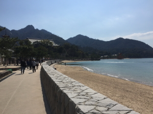 �{���r�[���i�݂₶�܃r�[���j�ւ̓����P