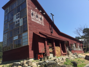 RISE��WIN BREWING�i���C�Y�A���h�E�B���u���[�C���O�j