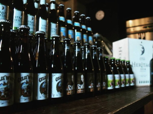 VOYAGER�i�{�C�W���[�j�̕r�r�[���P